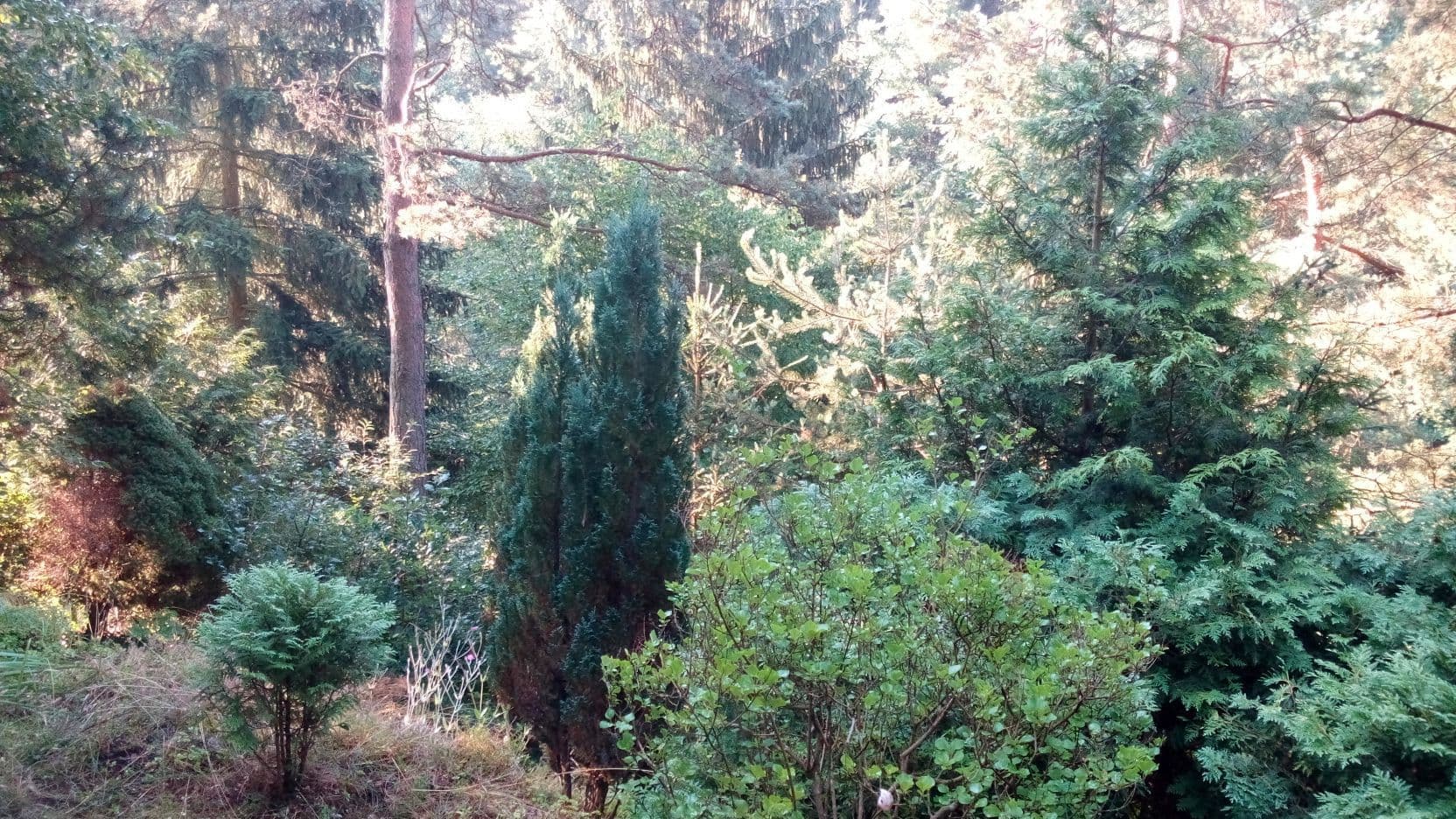 Prodej chaty, chalupy 29 m², pozemek 1.147 m², Malá Hraštice, Středočeský kraj Prodej chaty, chalupy 29 m², pozemek 1.147 m², Malá Hraštice, Středočeský kraj
