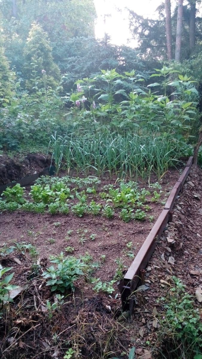 Prodej chaty, chalupy 29 m², pozemek 1.147 m², Malá Hraštice, Středočeský kraj Prodej chaty, chalupy 29 m², pozemek 1.147 m², Malá Hraštice, Středočeský kraj
