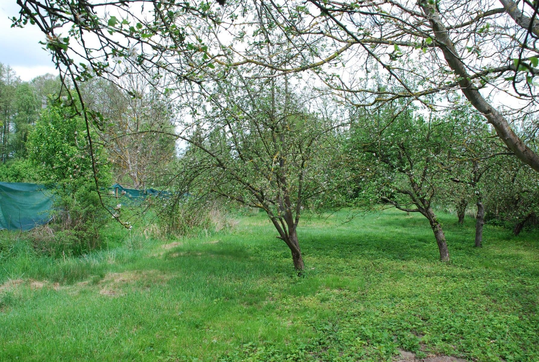 Prodej pozemku 798 m², Sedlec-Prčice, Středočeský kraj Prodej pozemku 798 m², Sedlec-Prčice, Středočeský kraj