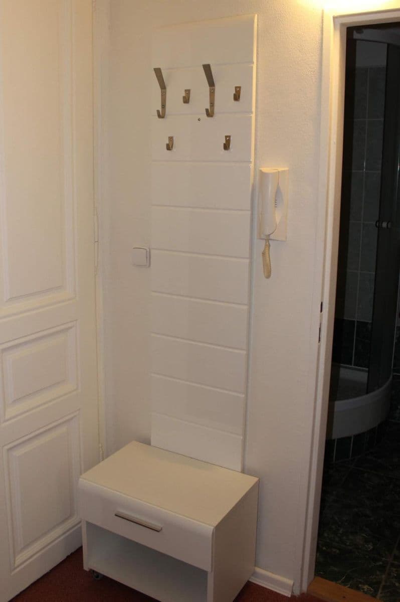 Pronájem bytu 1+1 30 m², Lužánecká, Brno, Jihomoravský kraj Pronájem bytu 1+1 30 m², Lužánecká, Brno, Jihomoravský kraj