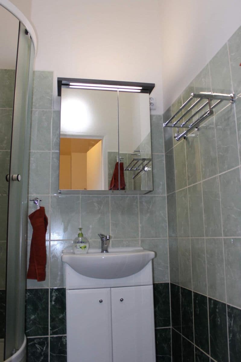 Pronájem bytu 1+1 30 m², Lužánecká, Brno, Jihomoravský kraj Pronájem bytu 1+1 30 m², Lužánecká, Brno, Jihomoravský kraj
