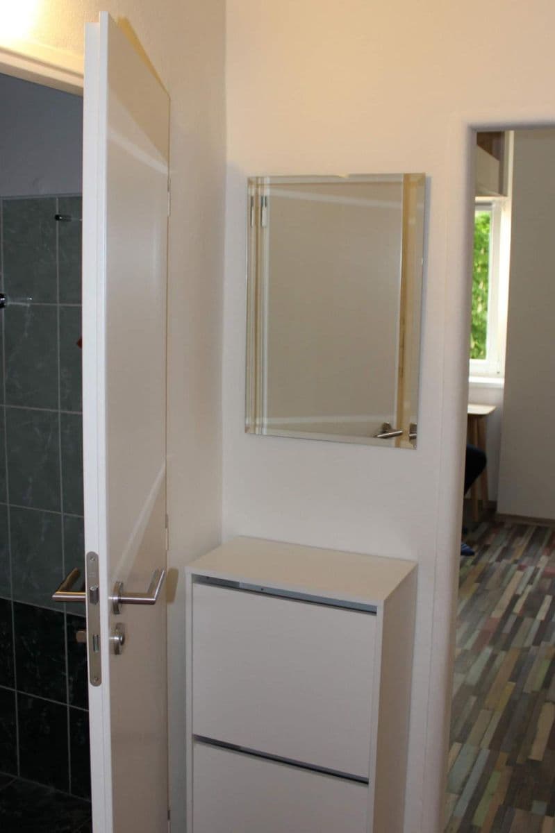 Pronájem bytu 1+1 30 m², Lužánecká, Brno, Jihomoravský kraj Pronájem bytu 1+1 30 m², Lužánecká, Brno, Jihomoravský kraj