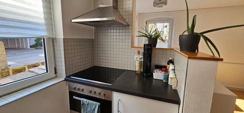 Pronájem bytu 2+1 39 m², Erlangen, Bavorsko Pronájem bytu 2+1 39 m², Erlangen, Bavorsko
