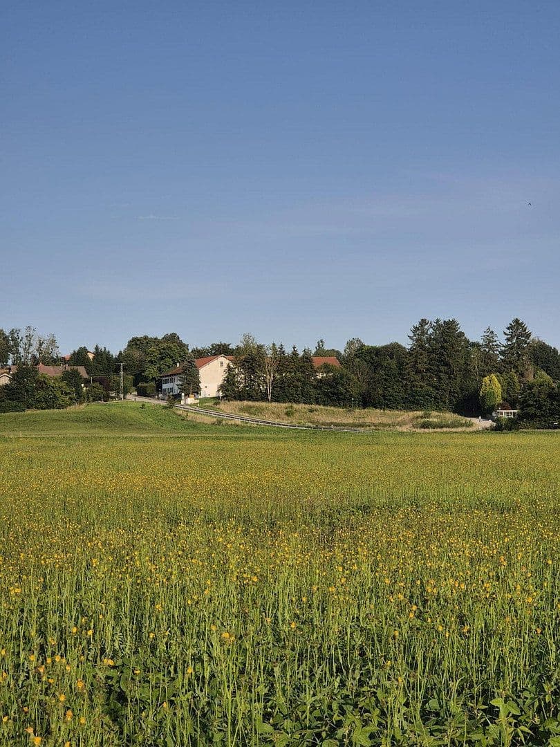 Prodej domu 216 m², pozemek 497 m², Am Feldl 5, Egmating, Bavorsko Prodej domu 216 m², pozemek 497 m², Am Feldl 5, Egmating, Bavorsko