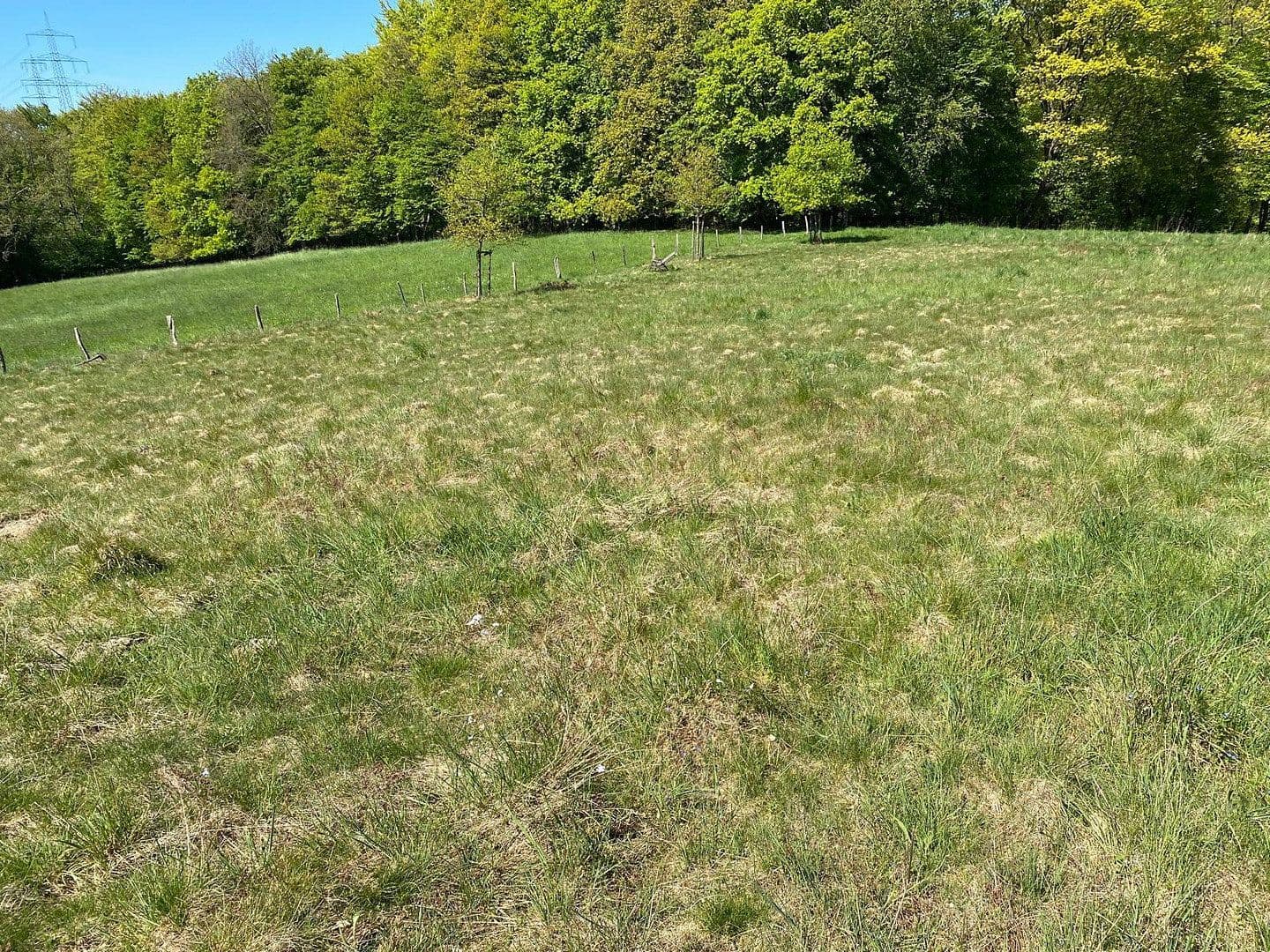 Pronájem pozemku 15.500 m², Grund/Farrenbracken, Remscheid, Severní Porýní-Vestfálsko Pronájem pozemku 15.500 m², Grund/Farrenbracken, Remscheid, Severní Porýní-Vestfálsko