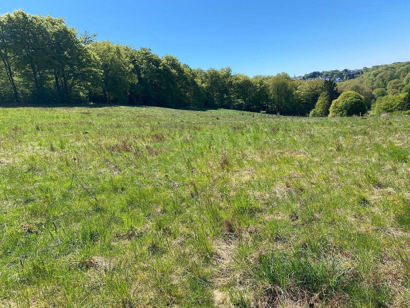 Pronájem pozemku 15.500 m², Grund/Farrenbracken, Remscheid, Severní Porýní-Vestfálsko Pronájem pozemku 15.500 m², Grund/Farrenbracken, Remscheid, Severní Porýní-Vestfálsko