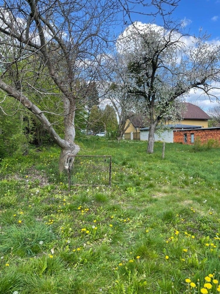 Prodej domu 160 m², pozemek 960 m², Komenského, Suchdol nad Odrou, Moravskoslezský kraj Prodej domu 160 m², pozemek 960 m², Komenského, Suchdol nad Odrou, Moravskoslezský kraj