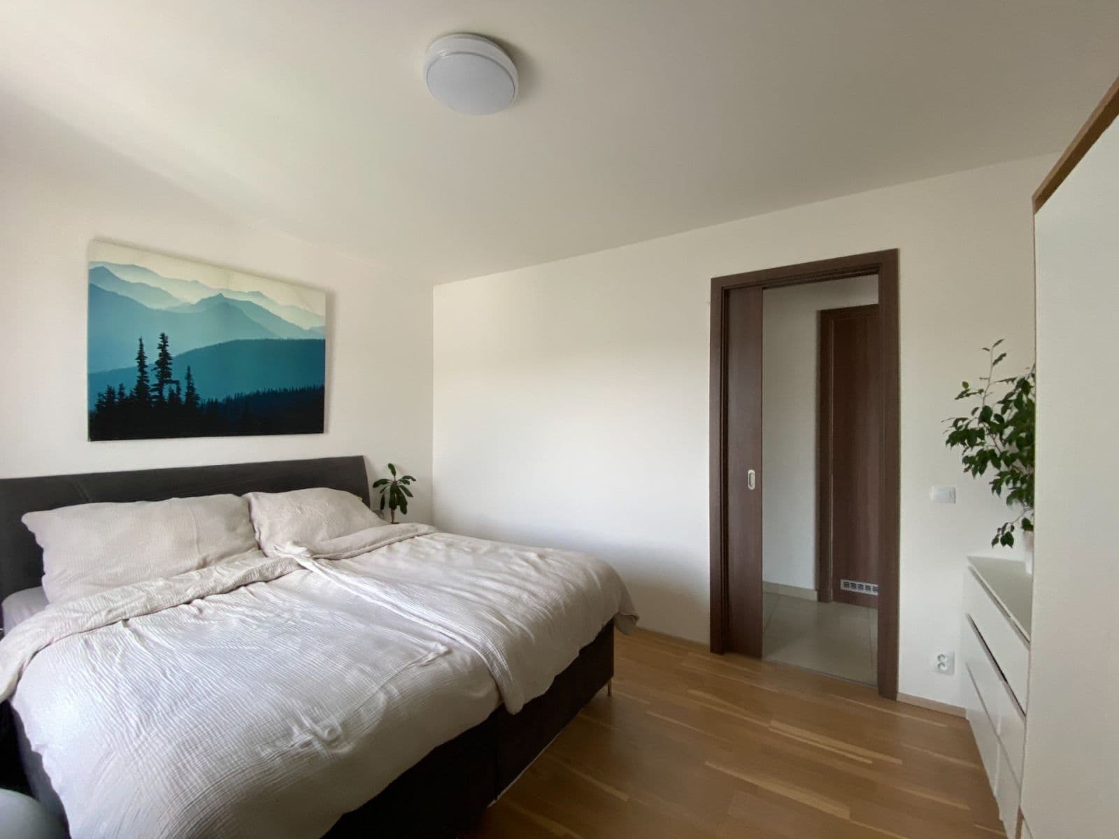 Pronájem bytu 2+kk 61 m², Nekvasilova, Praha, Praha Pronájem bytu 2+kk 61 m², Nekvasilova, Praha, Praha