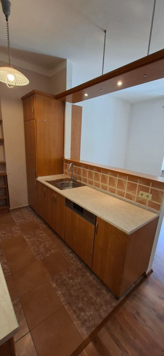 Pronájem bytu 2+kk 50 m², Mánesova, Hradec Králové, Královéhradecký kraj Pronájem bytu 2+kk 50 m², Mánesova, Hradec Králové, Královéhradecký kraj