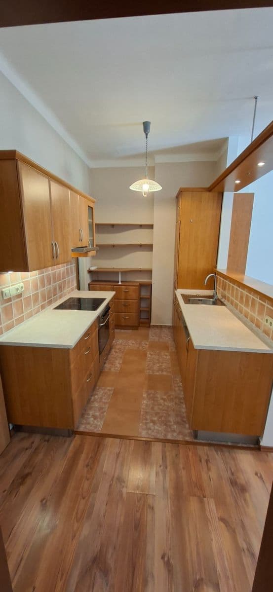 Pronájem bytu 2+kk 50 m², Mánesova, Hradec Králové, Královéhradecký kraj Pronájem bytu 2+kk 50 m², Mánesova, Hradec Králové, Královéhradecký kraj