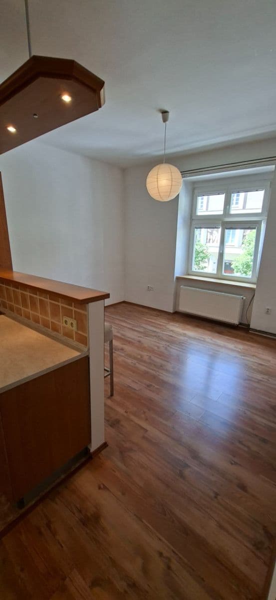 Pronájem bytu 2+kk 50 m², Mánesova, Hradec Králové, Královéhradecký kraj Pronájem bytu 2+kk 50 m², Mánesova, Hradec Králové, Královéhradecký kraj