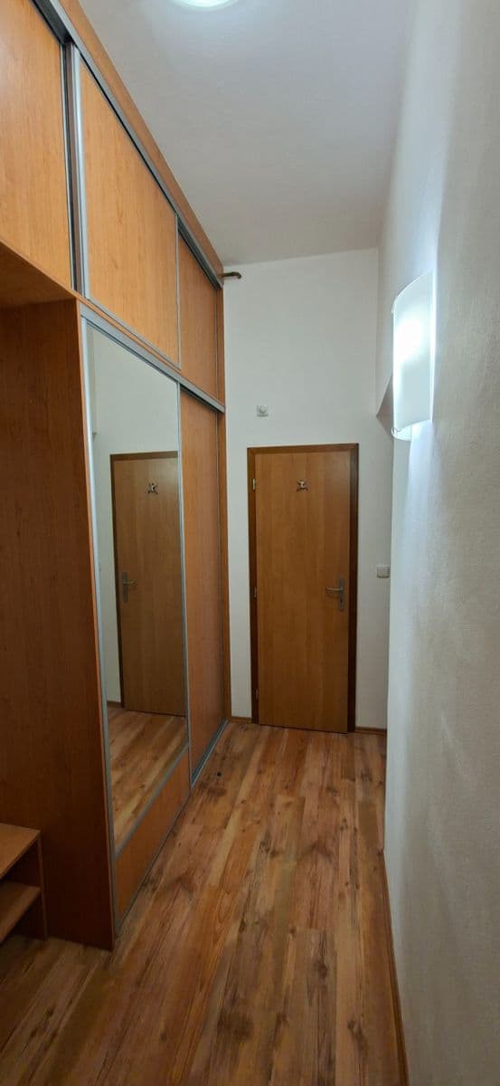 Pronájem bytu 2+kk 50 m², Mánesova, Hradec Králové, Královéhradecký kraj Pronájem bytu 2+kk 50 m², Mánesova, Hradec Králové, Královéhradecký kraj