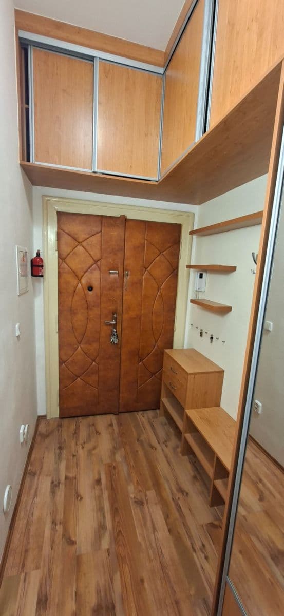 Pronájem bytu 2+kk 50 m², Mánesova, Hradec Králové, Královéhradecký kraj Pronájem bytu 2+kk 50 m², Mánesova, Hradec Králové, Královéhradecký kraj