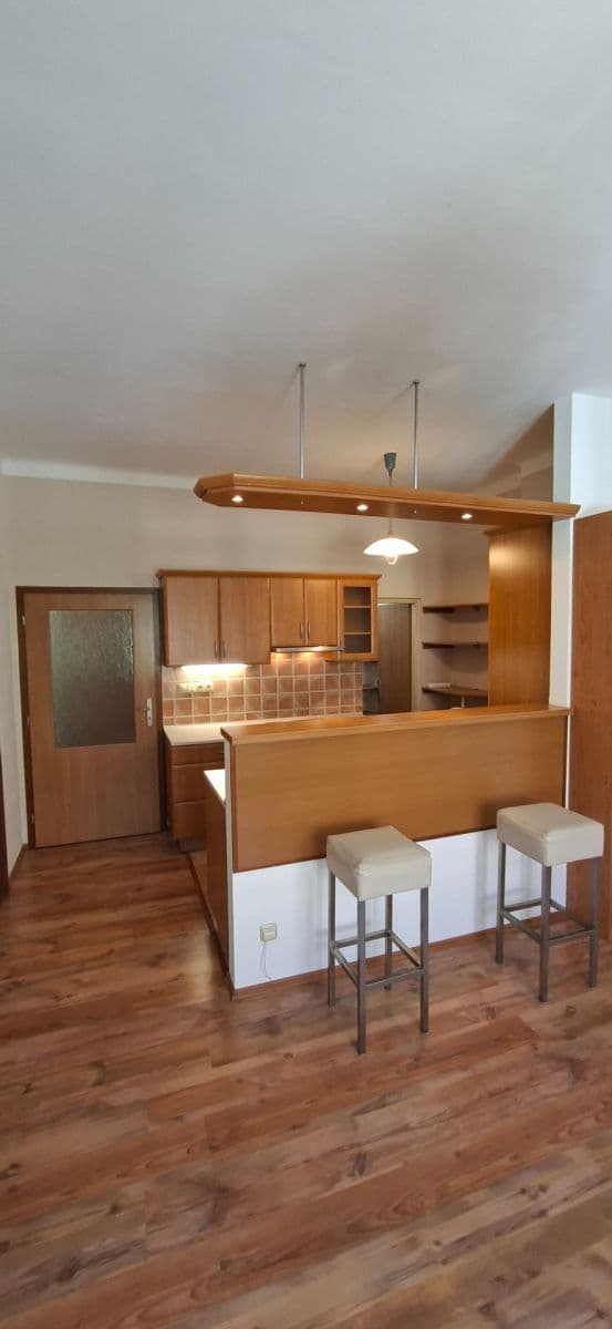 Pronájem bytu 2+kk 50 m², Mánesova, Hradec Králové, Královéhradecký kraj Pronájem bytu 2+kk 50 m², Mánesova, Hradec Králové, Královéhradecký kraj
