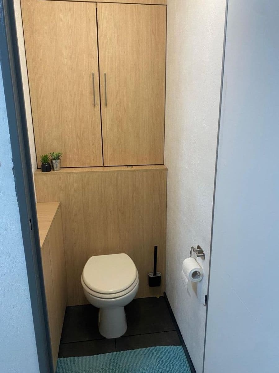 Pronájem bytu 2+1 57 m², Vlkova, Brno, Jihomoravský kraj Pronájem bytu 2+1 57 m², Vlkova, Brno, Jihomoravský kraj