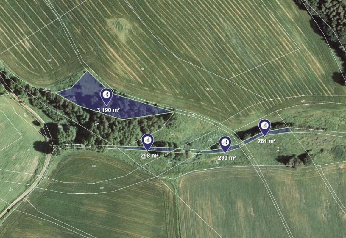 Prodej pozemku 3.999 m², Březina, Pardubický kraj Prodej pozemku 3.999 m², Březina, Pardubický kraj