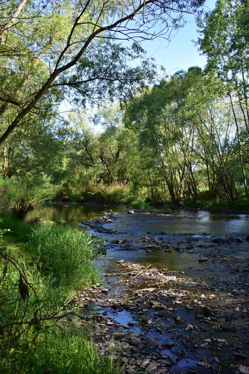 Prodej chaty, chalupy 80 m², pozemek 100 m², Římov, Jihočeský kraj Prodej chaty, chalupy 80 m², pozemek 100 m², Římov, Jihočeský kraj