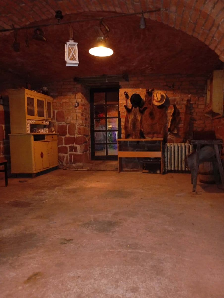 Prodej domu 290 m², pozemek 4.472 m², Borovnice, Královéhradecký kraj Prodej domu 290 m², pozemek 4.472 m², Borovnice, Královéhradecký kraj