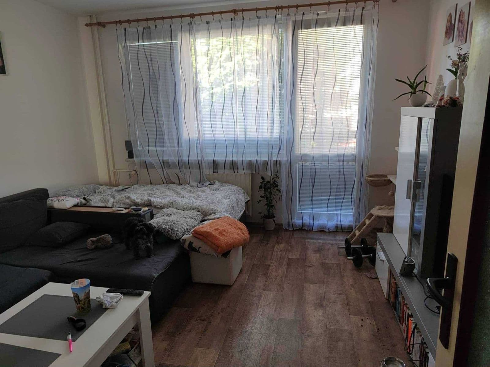 Pronájem bytu 2+1 57 m², Slunečná, Zlín, Zlínský kraj Pronájem bytu 2+1 57 m², Slunečná, Zlín, Zlínský kraj