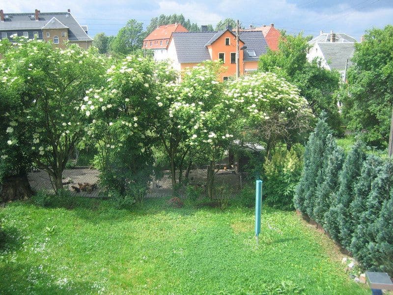 Prodej domu 248 m², pozemek 330 m², Freiheitsstr.99, Cvikov, Sasko Prodej domu 248 m², pozemek 330 m², Freiheitsstr.99, Cvikov, Sasko