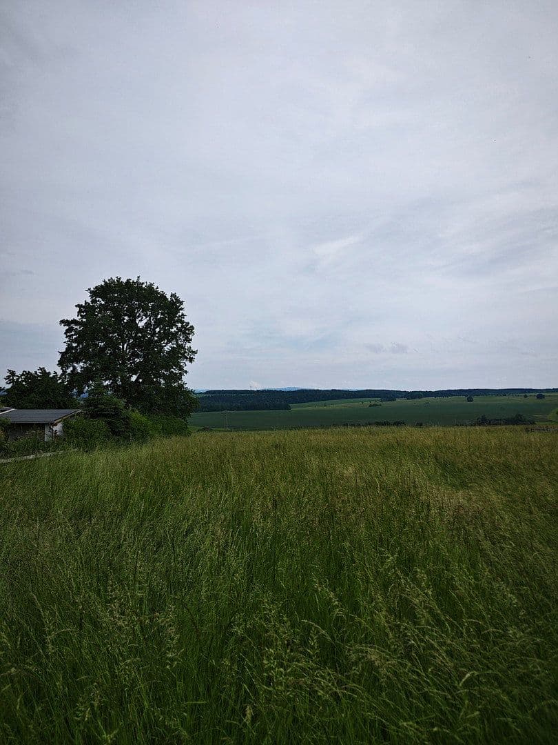 Prodej domu 248 m², pozemek 330 m², Freiheitsstr.99, Cvikov, Sasko Prodej domu 248 m², pozemek 330 m², Freiheitsstr.99, Cvikov, Sasko