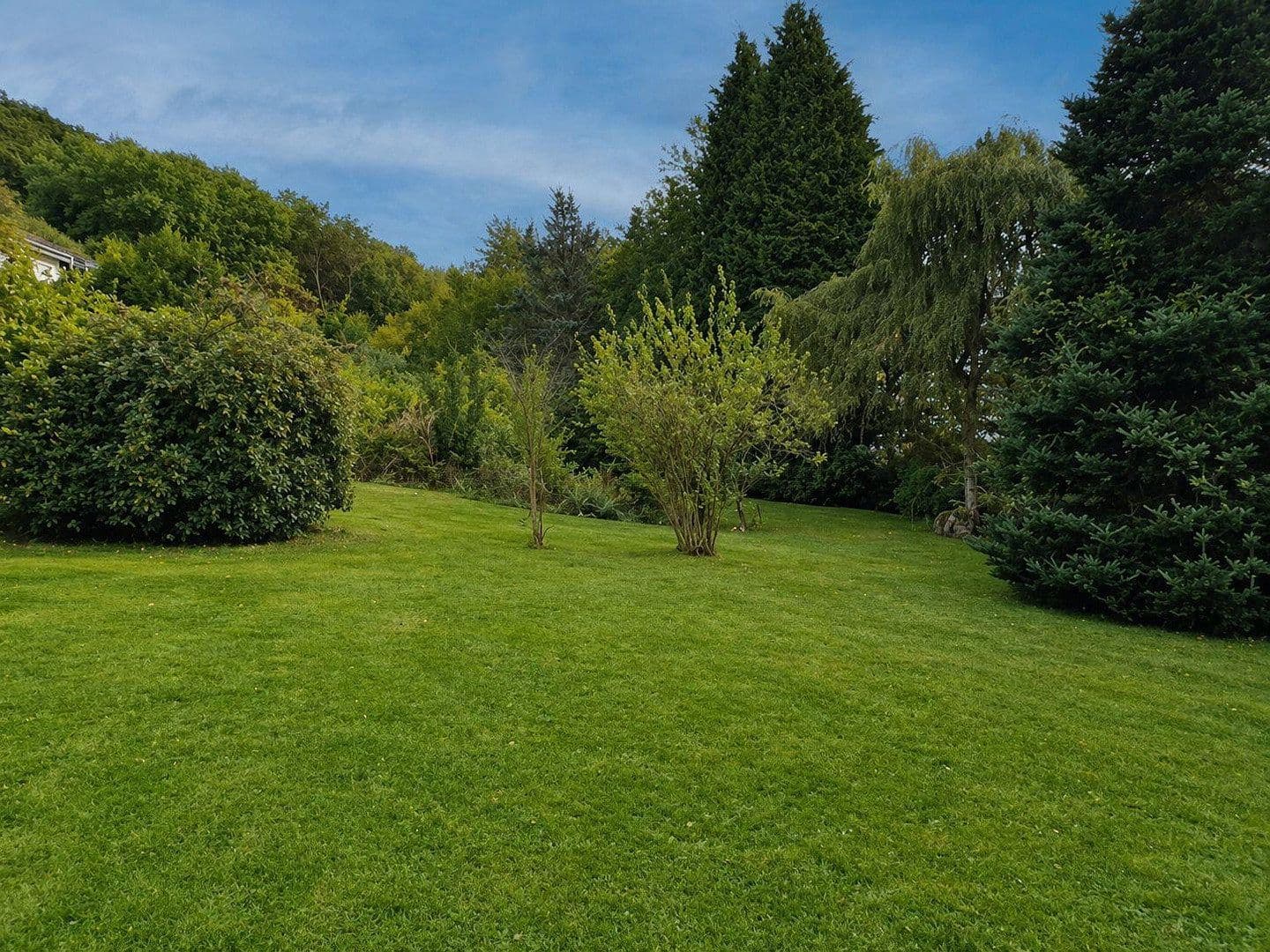 Prodej domu 180 m², pozemek 2.380 m², Bad Berleburg, Severní Porýní-Vestfálsko Prodej domu 180 m², pozemek 2.380 m², Bad Berleburg, Severní Porýní-Vestfálsko