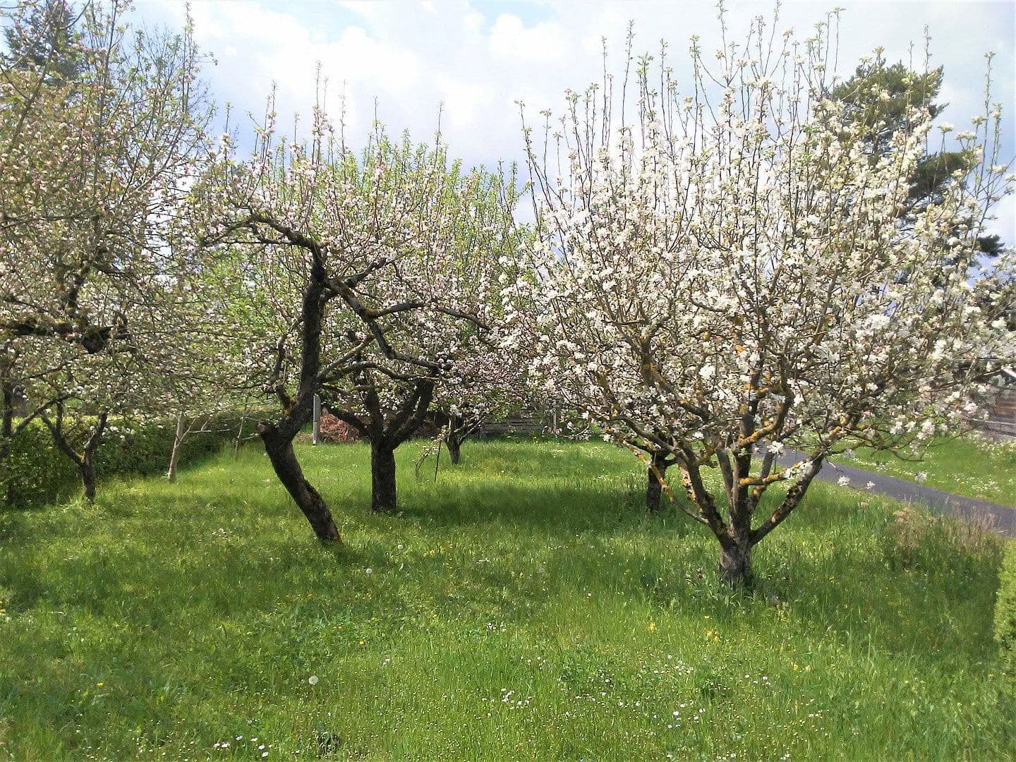 Prodej domu 165 m², pozemek 1.325 m², Heldburg, Durynsko Prodej domu 165 m², pozemek 1.325 m², Heldburg, Durynsko