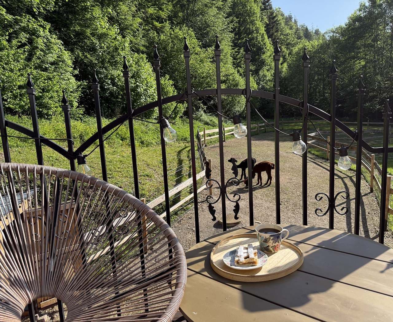 Pronájem chaty, chalupy, Osečnice, Královéhradecký kraj Pronájem chaty, chalupy, Osečnice, Královéhradecký kraj