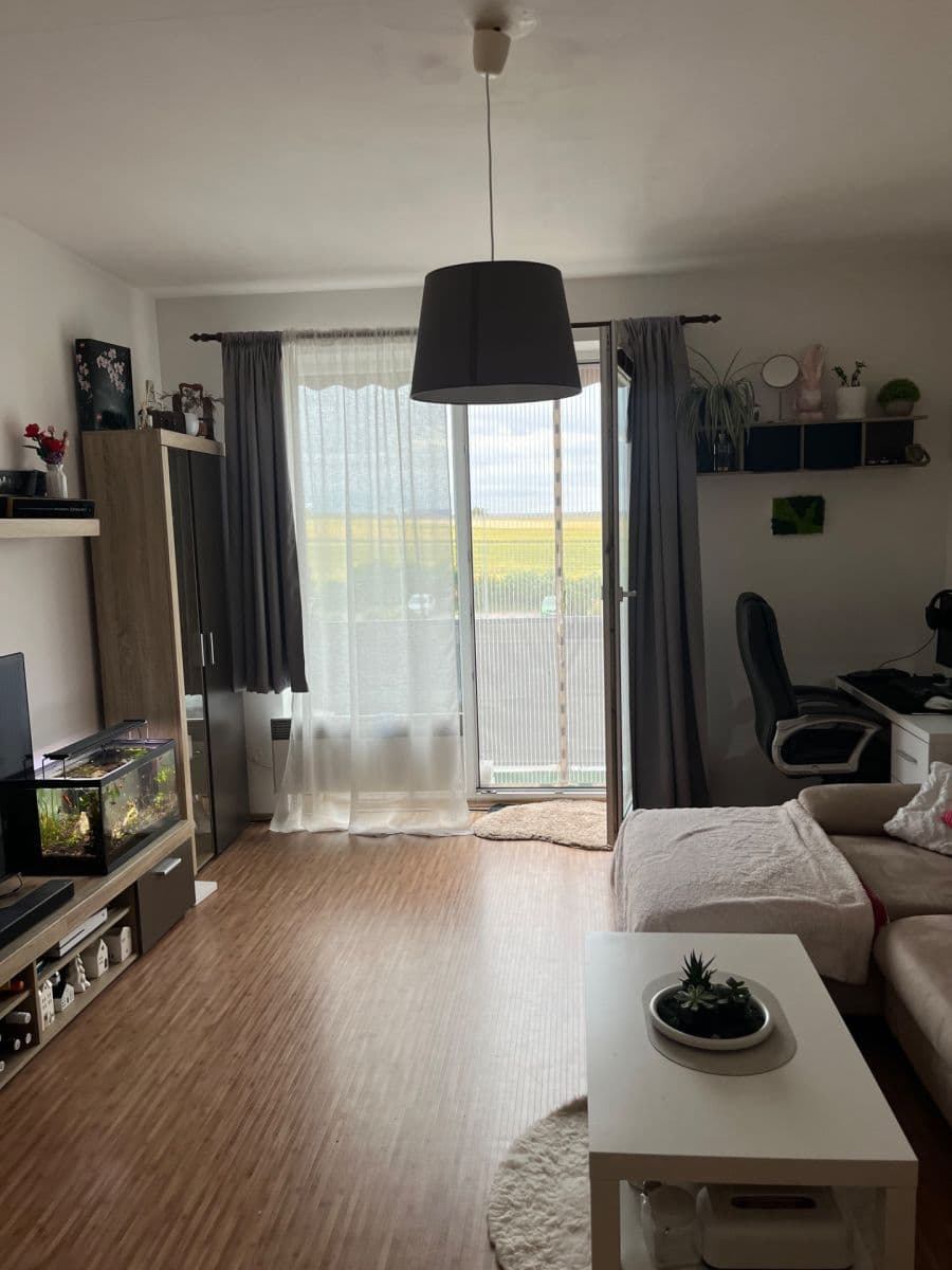 Prodej bytu 2+kk 52 m², Křehlíkova, Brno, Jihomoravský kraj Prodej bytu 2+kk 52 m², Křehlíkova, Brno, Jihomoravský kraj