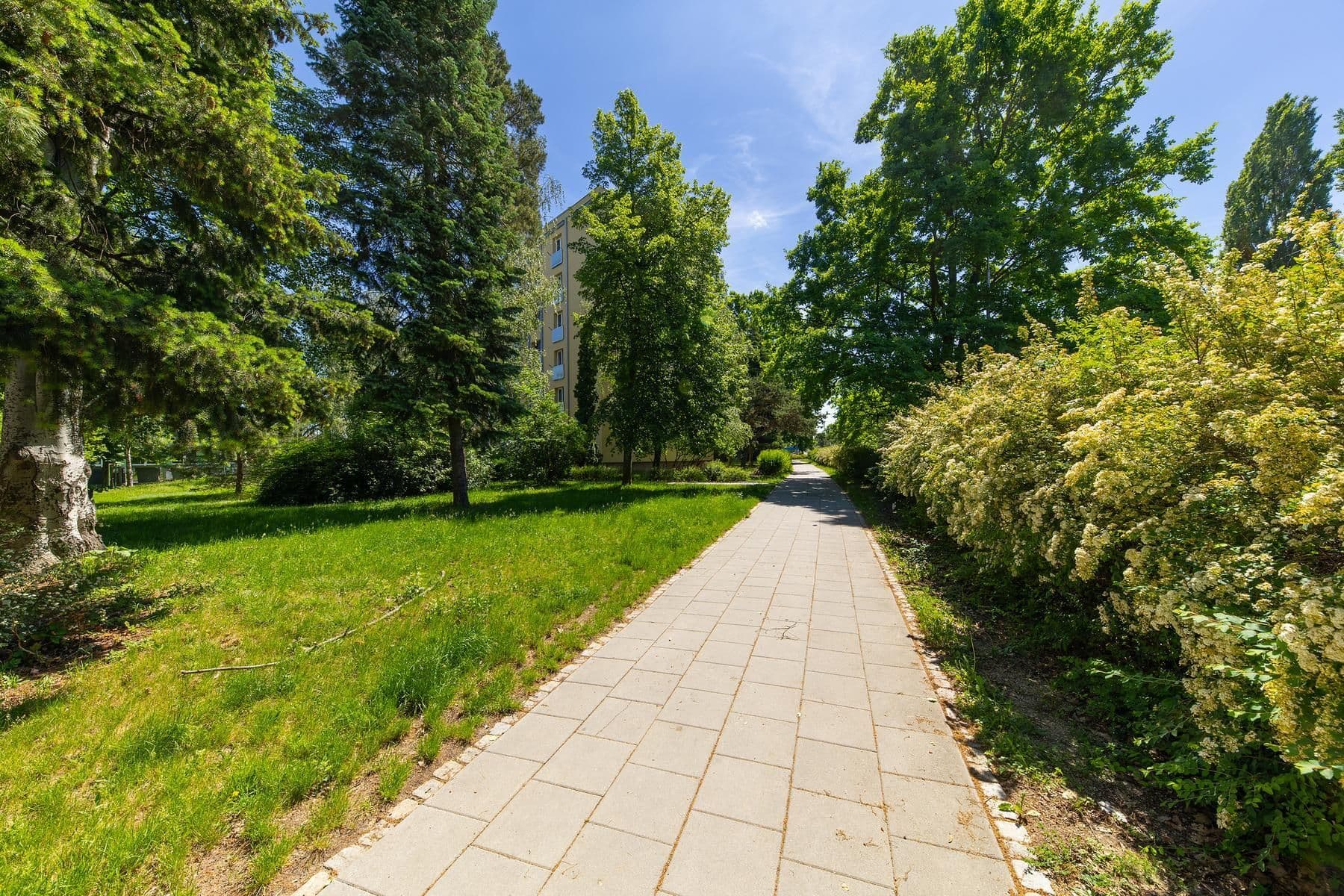 Prodej bytu 2+1 50 m², Foerstrova, Olomouc, Olomoucký kraj Prodej bytu 2+1 50 m², Foerstrova, Olomouc, Olomoucký kraj