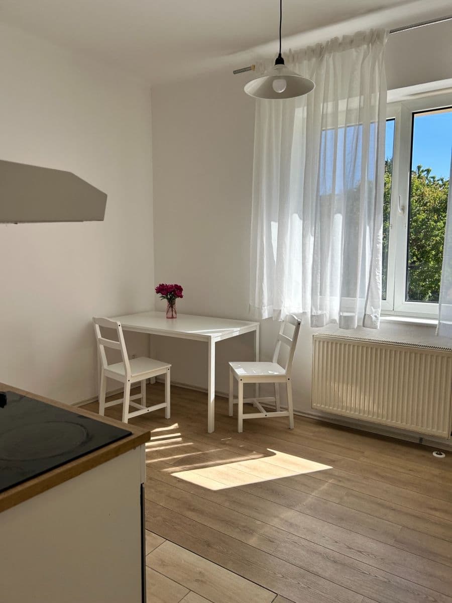 Pronájem bytu 1+1 45 m², V Nových Vokovicích, Praha, Praha Pronájem bytu 1+1 45 m², V Nových Vokovicích, Praha, Praha