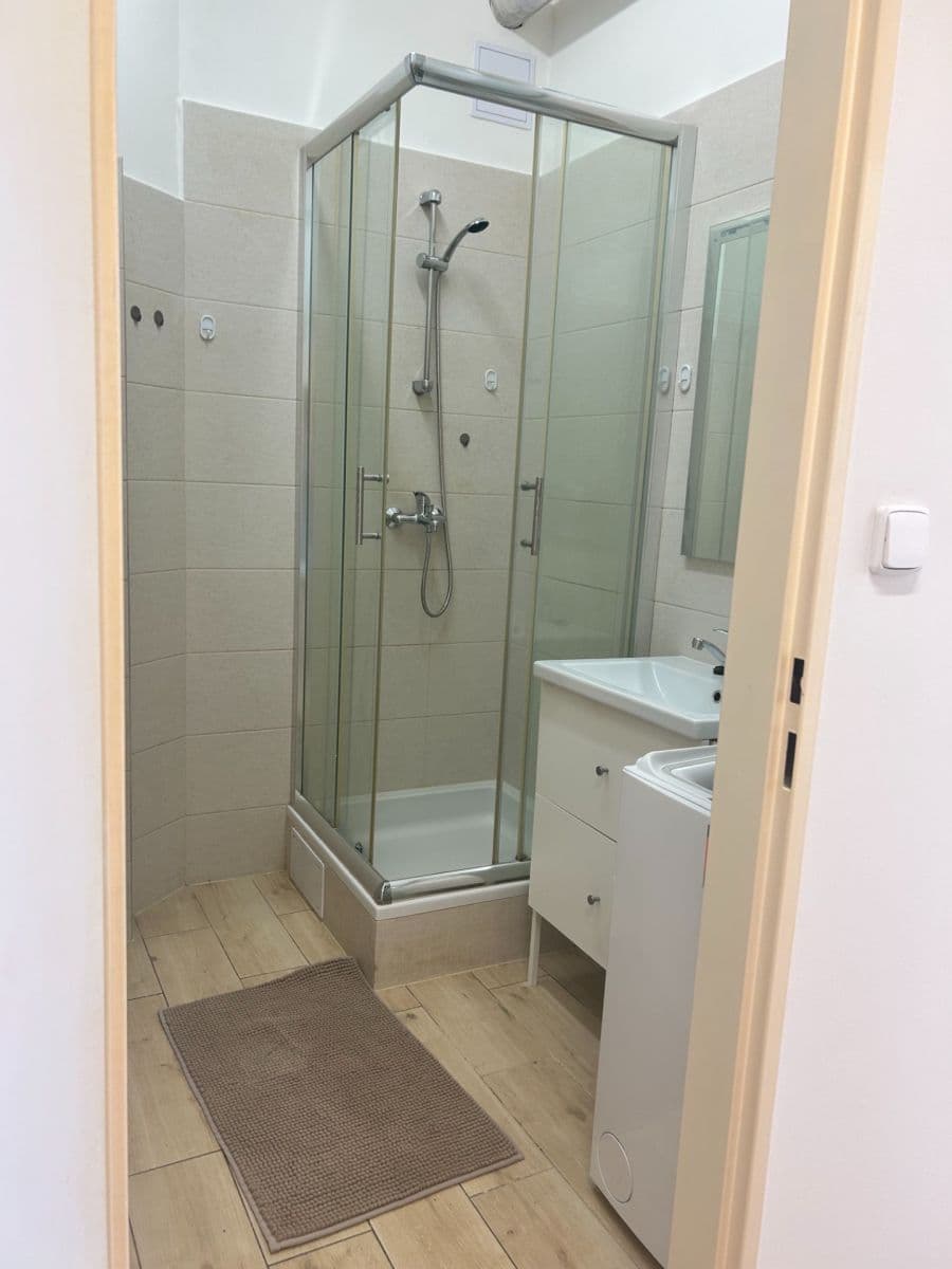 Pronájem bytu 1+1 45 m², V Nových Vokovicích, Praha, Praha Pronájem bytu 1+1 45 m², V Nových Vokovicích, Praha, Praha