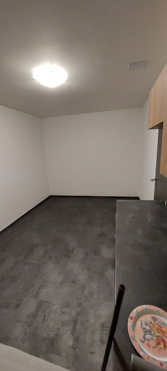 Pronájem bytu 1+kk 24 m², Votroubkova, Brno, Jihomoravský kraj Pronájem bytu 1+kk 24 m², Votroubkova, Brno, Jihomoravský kraj
