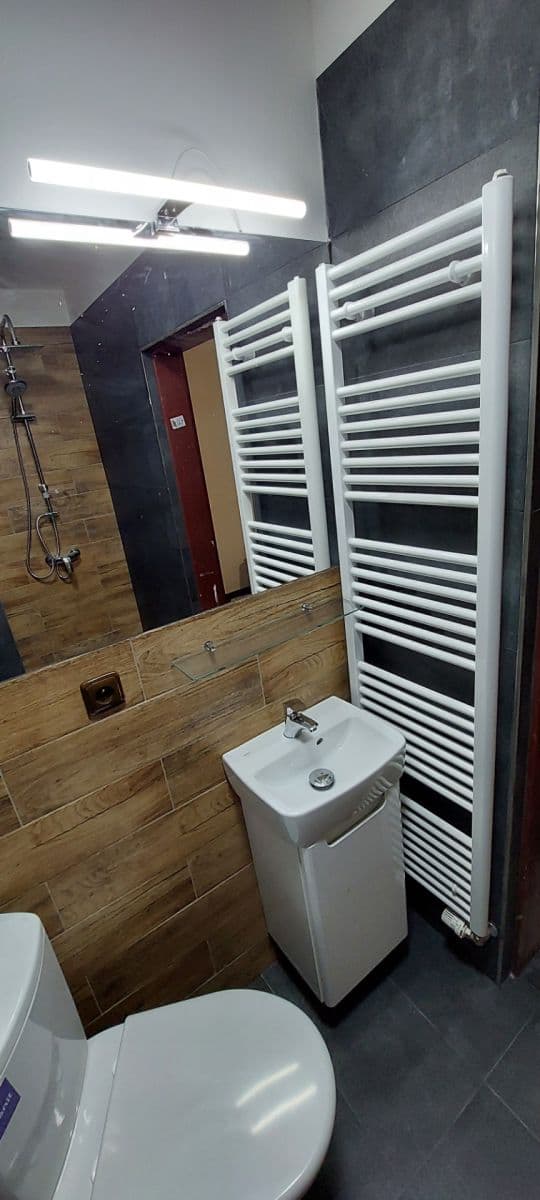 Pronájem bytu 1+kk 24 m², Votroubkova, Brno, Jihomoravský kraj Pronájem bytu 1+kk 24 m², Votroubkova, Brno, Jihomoravský kraj