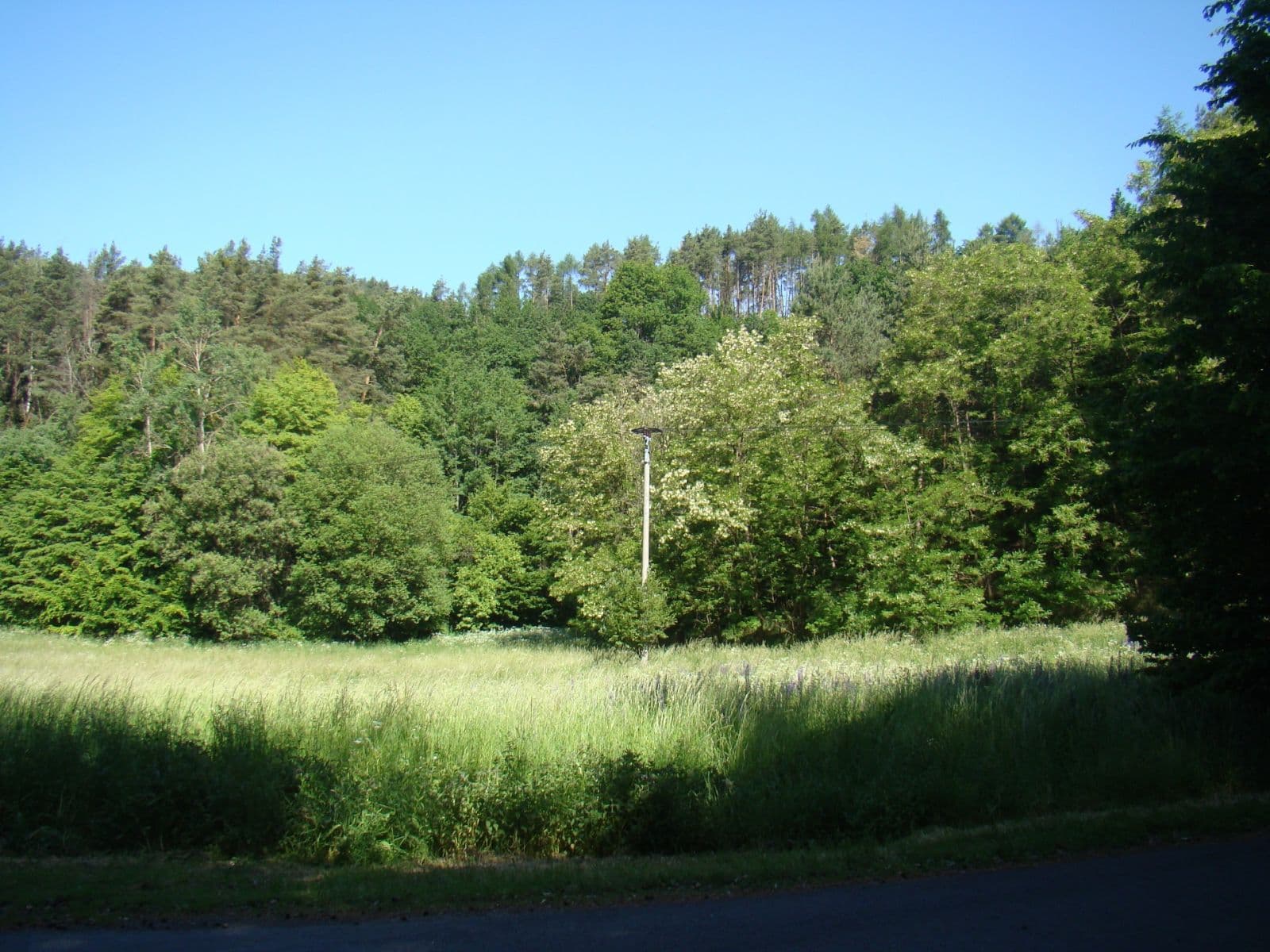 Prodej pozemku 6.471 m², 25935, Vidim, Středočeský kraj Prodej pozemku 6.471 m², 25935, Vidim, Středočeský kraj