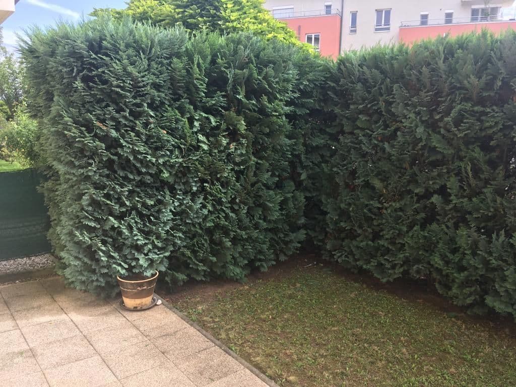 Pronájem bytu 1+kk 36 m², Holubí, Praha, Praha Pronájem bytu 1+kk 36 m², Holubí, Praha, Praha