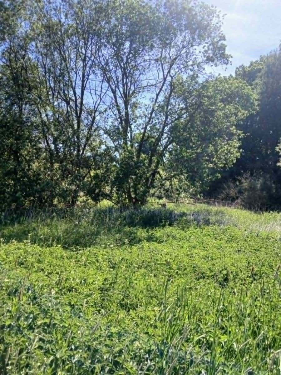 Prodej pozemku 6.713 m², Rudoltice, Pardubický kraj Prodej pozemku 6.713 m², Rudoltice, Pardubický kraj