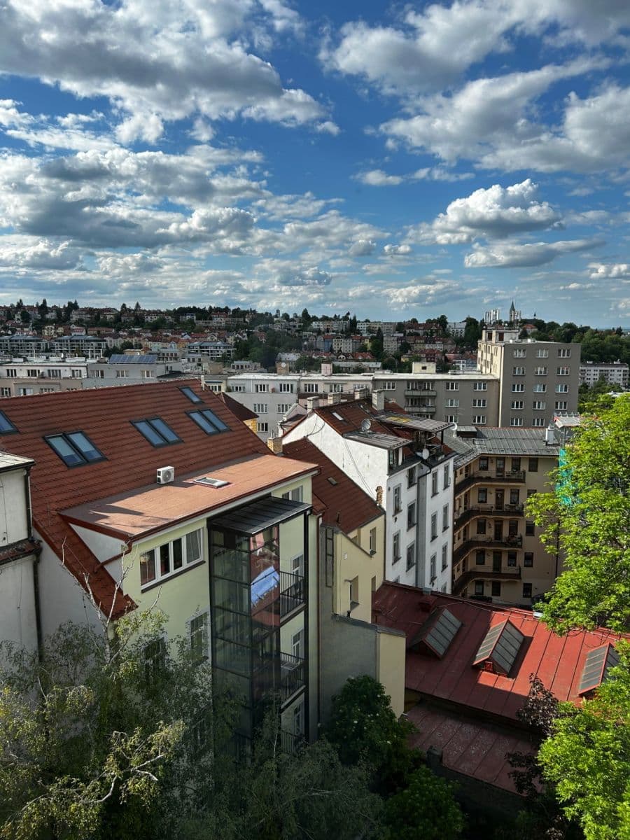 Pronájem bytu 1+kk 27 m², Šlikova, Praha, Praha Pronájem bytu 1+kk 27 m², Šlikova, Praha, Praha