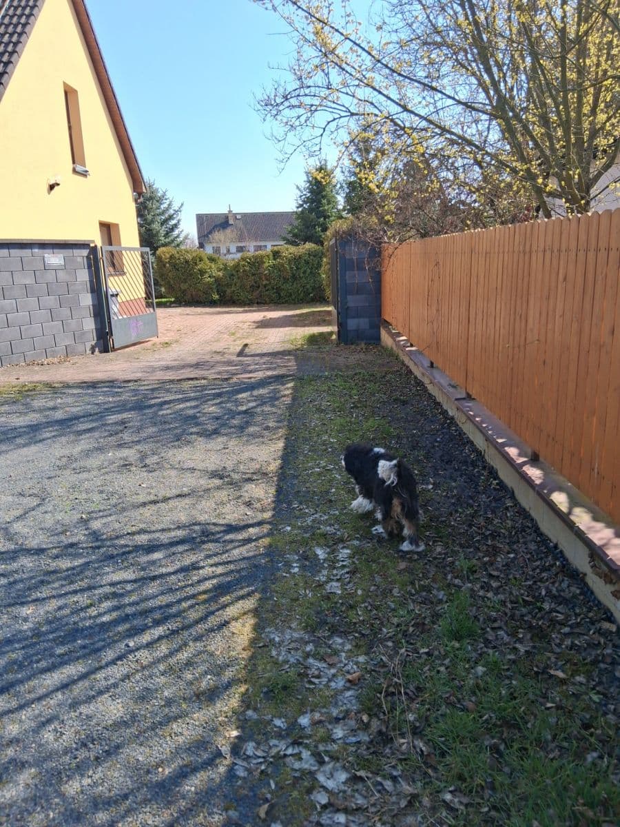 Pronájem domu 130 m², pozemek 3.000 m², Ořechová, Mělník, Středočeský kraj Pronájem domu 130 m², pozemek 3.000 m², Ořechová, Mělník, Středočeský kraj