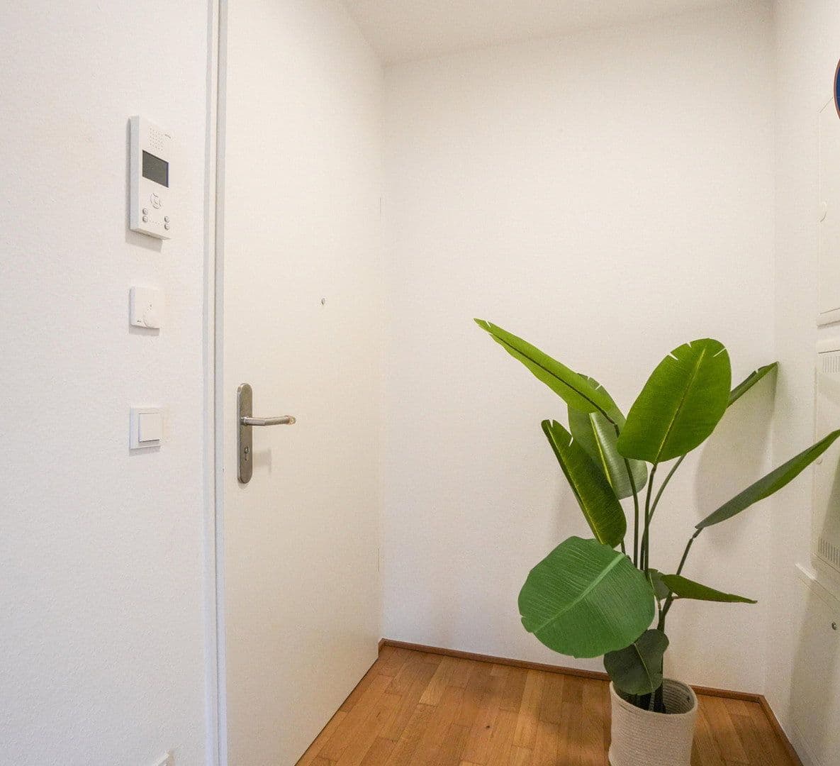 Pronájem bytu 2+1 50 m², Godesberger Allee 106a, Bonn, Severní Porýní-Vestfálsko Pronájem bytu 2+1 50 m², Godesberger Allee 106a, Bonn, Severní Porýní-Vestfálsko