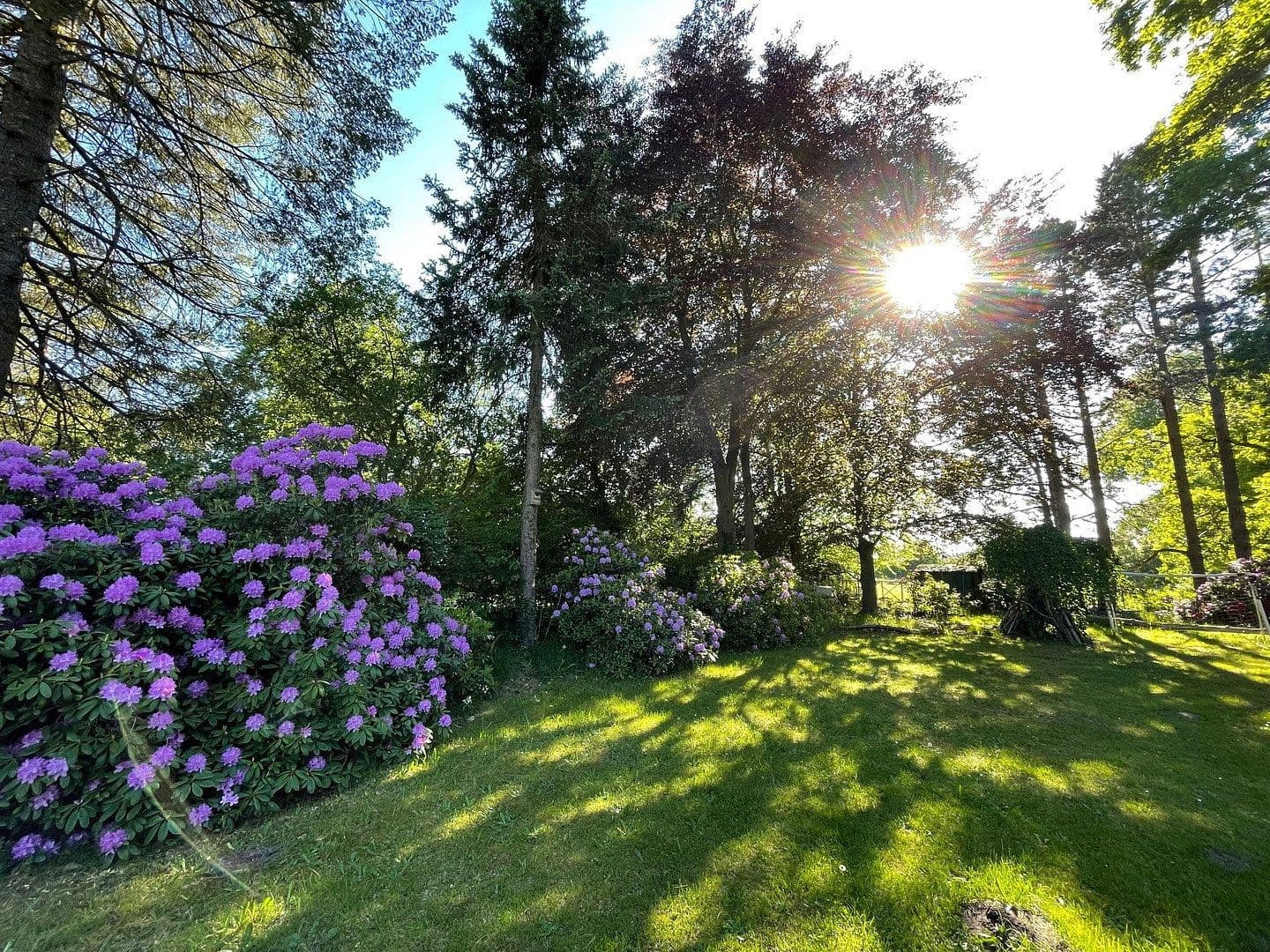 Prodej domu 180 m², pozemek 1.789 m², Wedel, Šlesvicko-Holštýnsko Prodej domu 180 m², pozemek 1.789 m², Wedel, Šlesvicko-Holštýnsko