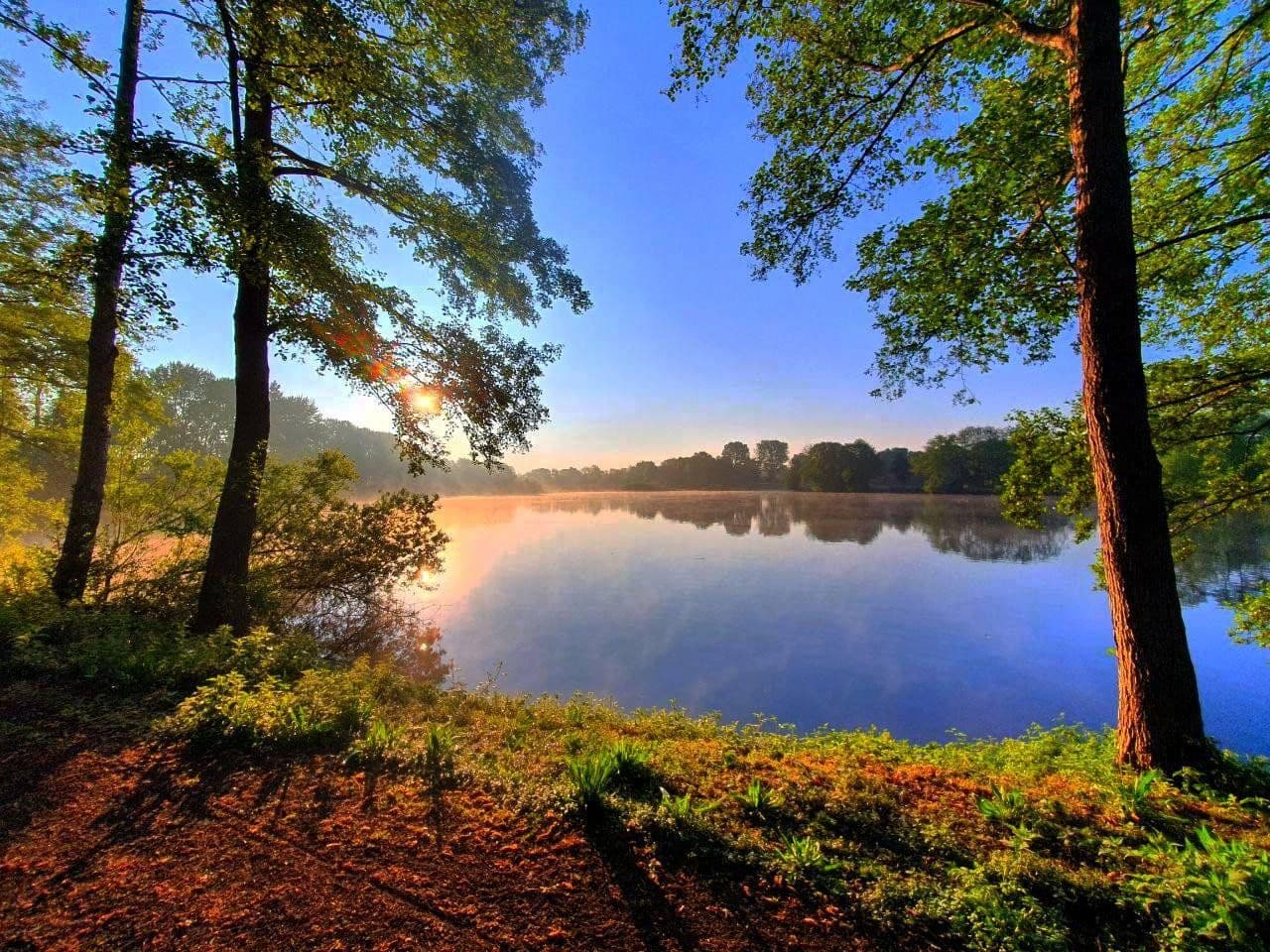 Prodej domu 200 m², pozemek 760 m², Rhauderfehn, Dolní Sasko Prodej domu 200 m², pozemek 760 m², Rhauderfehn, Dolní Sasko