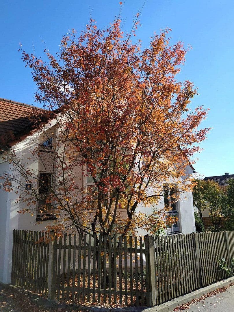Prodej domu 300 m², pozemek 971 m², Dietfurt an der Altmühl, Bavorsko Prodej domu 300 m², pozemek 971 m², Dietfurt an der Altmühl, Bavorsko