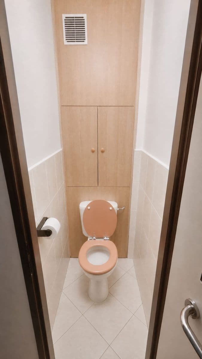 Pronájem bytu 2+1 46 m², Brožíkova, Stříbro, Plzeňský kraj Pronájem bytu 2+1 46 m², Brožíkova, Stříbro, Plzeňský kraj