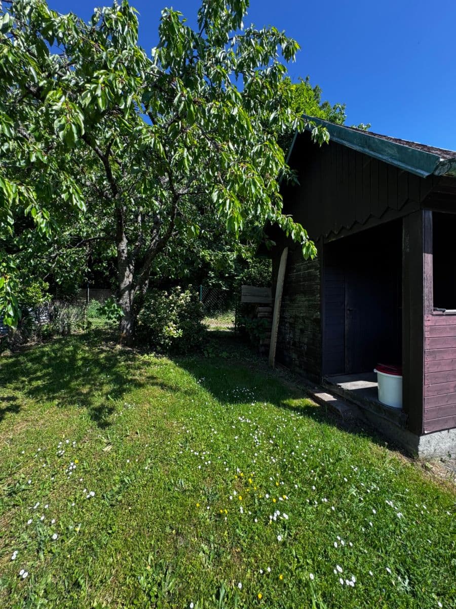 Prodej chaty, chalupy 15 m², pozemek 799 m², Lázně Kynžvart, Karlovarský kraj Prodej chaty, chalupy 15 m², pozemek 799 m², Lázně Kynžvart, Karlovarský kraj