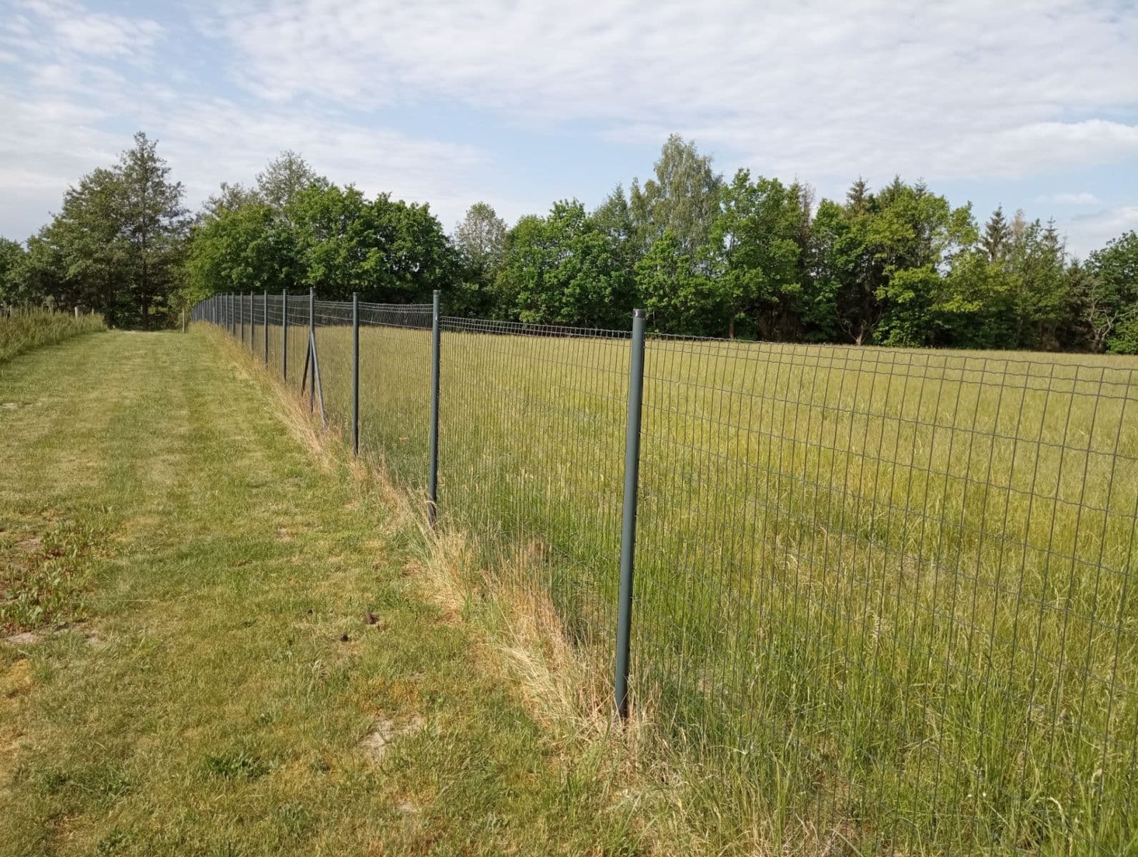 Prodej pozemku 2.502 m², Petříkov, Jihočeský kraj Prodej pozemku 2.502 m², Petříkov, Jihočeský kraj