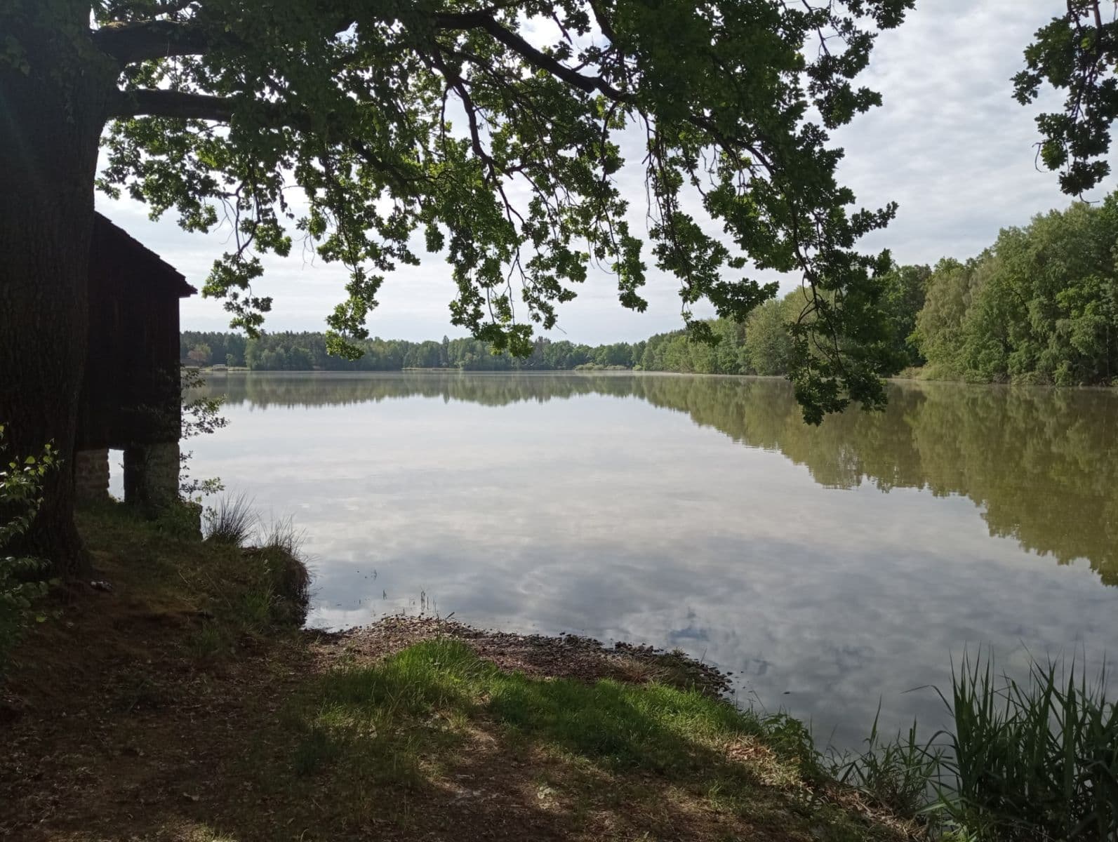 Prodej pozemku 2.502 m², Petříkov, Jihočeský kraj Prodej pozemku 2.502 m², Petříkov, Jihočeský kraj
