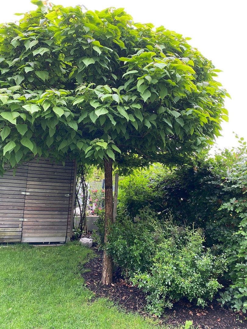 Prodej domu 116 m², pozemek 157 m², Bad Aibling, Bavorsko Prodej domu 116 m², pozemek 157 m², Bad Aibling, Bavorsko