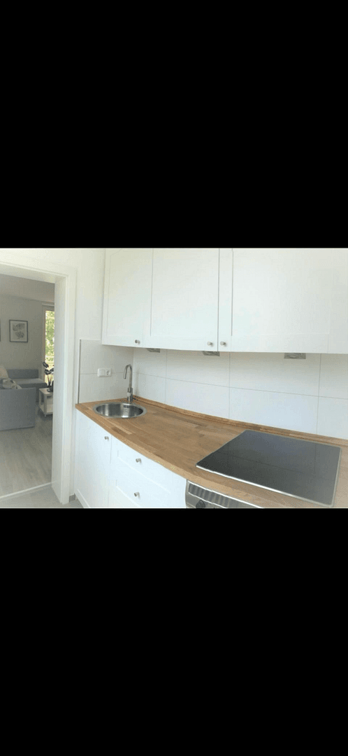 Pronájem bytu 1+kk 37 m², Zaubzerstraße, München, Bavorsko Pronájem bytu 1+kk 37 m², Zaubzerstraße, München, Bavorsko