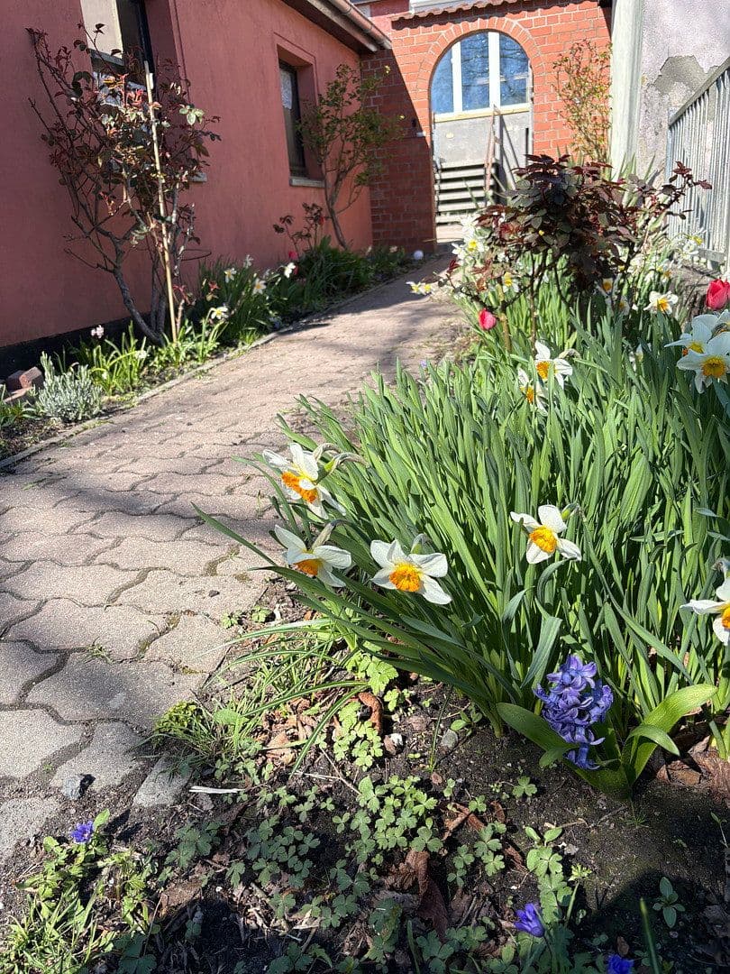 Prodej domu 80 m², pozemek 170 m², Bleicherstraße 104, Barth, Mecklenburg-Vorpommern Prodej domu 80 m², pozemek 170 m², Bleicherstraße 104, Barth, Mecklenburg-Vorpommern